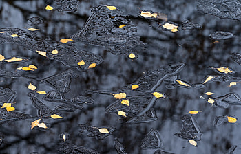 nature, ice HD wallpaper