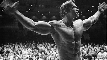 Famous Arnold HD wallpaper