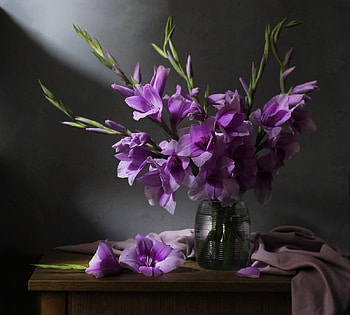 Gladiolus, Flowers, Still life, Bouquet, Vase HD wallpaper