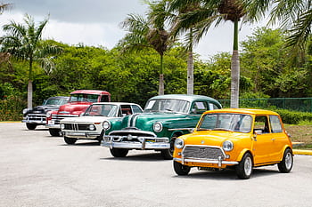 A lineup of vintage cars parked outdoors surrounded by palm trees on a sunny day. HD wallpaper