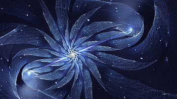 Winter flower, winter, blue, white, abstract, flower, texture, luminos HD wallpaper
