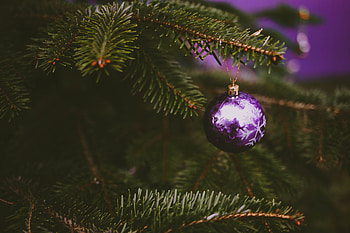 Holidays, Violet, Holiday, Ball, Purple, Christmas Tree, Decoration HD wallpaper
