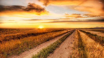 Burning Sky Above the Autumn Field, field, clouds, autumn, sky, nature, sun HD wallpaper