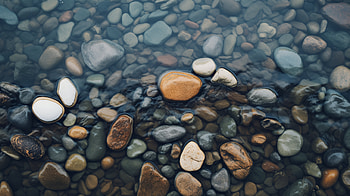 Serene Pebbled Shore, pebbles, nature, stone HD wallpaper