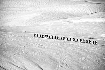 Silhouetted group hiking across a vast snowy landscape showcasing adventure and endurance. HD wallpaper