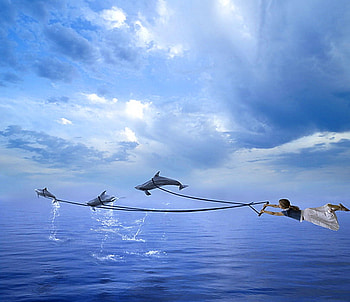 Breakaway, blue, boy, fantasy, clouds, dolphins, flying, ocean HD wallpaper