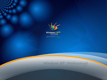 Technology, Windows Xp, Windows HD wallpaper