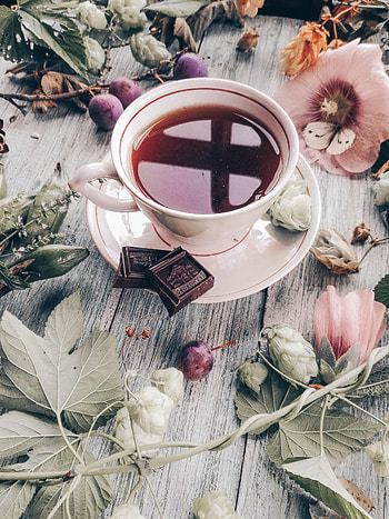 Chocolate, Flowers, Food, Plum, Cup, Tea HD phone wallpaper