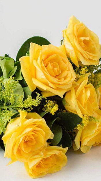 Yellow Rose, Yellow, Flower HD phone wallpaper