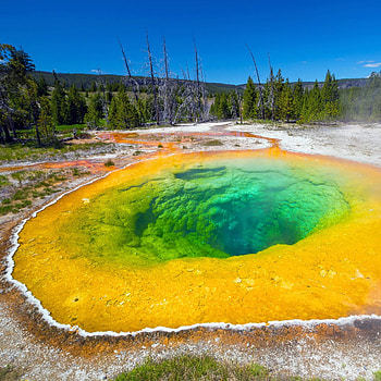 Yellowstone National Park, Wohnmobil camping HD phone wallpaper