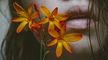 Flower, Miscellanea, Miscellaneous, Tenderness, Lips, Sacrament HD wallpaper