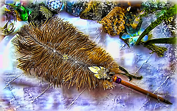Feather Collection 4, loving, feather, abstract, love you, sparkling, caring, beauty HD wallpaper