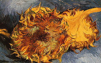Vincent van Gogh , quality, , Captivating scenes HD wallpaper