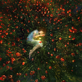 Relax in flowers, poppy land, art HD phone wallpaper