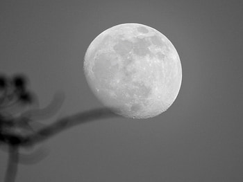 Beautiful Moon, graphy, Space, Sky, Moon HD wallpaper