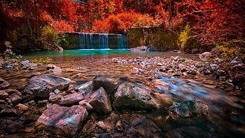 Forest waterfall in autumn, fall, stones, colorful, waterfall, autumn, beautiful, forest HD wallpaper