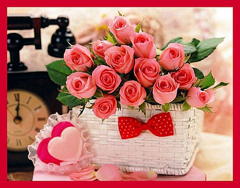 Pink Roses, pink, beautiful, roses HD wallpaper