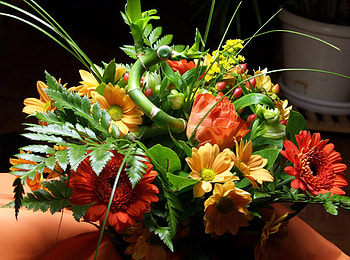 Flowers, Roses, Gerberas, Greens, Bouquet, Composition HD wallpaper