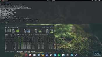 ... Kali Linux + Gnome . kali_linux_rolling_gnome HD wallpaper