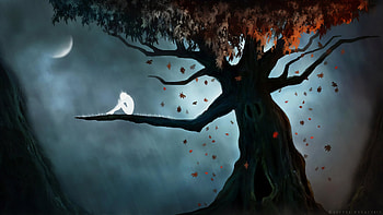Do Trees Have Souls, artist, artwork, digital-art, deviantart HD wallpaper