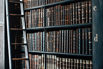 Books, Miscellanea, Miscellaneous, Collection, Library, Shelves HD wallpaper