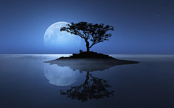Island Sky Moon Tree, island, sky, moon, tree, landscape, artist, artwork, digital-art HD wallpaper