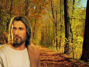 Jesus, the way, god, path, jesus, autumn, christ, forest, religion, christianity HD wallpaper