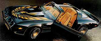 1980 Pontiac Firebird Trans Am, phoenix bird, firebird, trans am, pontiac HD wallpaper