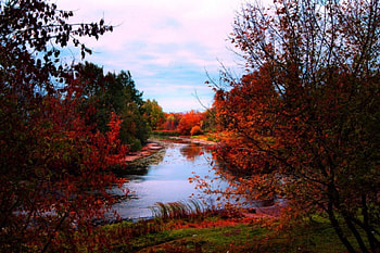 Background, river, path, Fall, trees, autumn, water, forest HD wallpaper