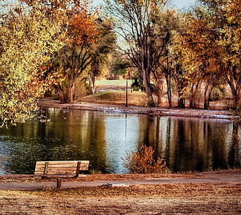 Bench at the Pond, Nature, Bench, Pond, Autumn HD wallpaper