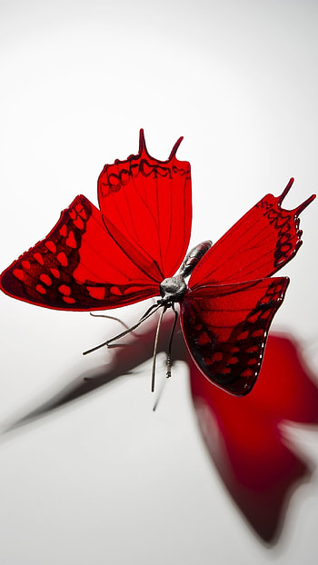 Red Butterfly, Beautiful, Aesthetic HD phone wallpaper