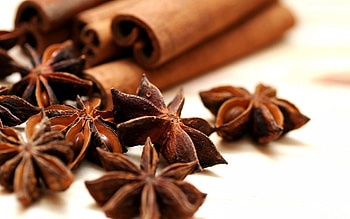 Anise Plant, , Star anise fascination, Exquisite visuals HD wallpaper