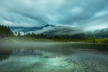 Nature, Trees, Mountains, Lake, Fog, Spruce, Fir HD wallpaper