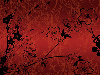 Abstract, Flowers, Background, Dark, Lines HD wallpaper