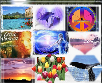 Collage , whale, dolphins, celtic woman, peace, flowers, angel, heart, sunset HD wallpaper
