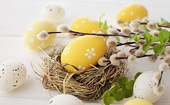 Happy Easter!, egg, white, yellow, green, card, easter, spring, nest HD wallpaper