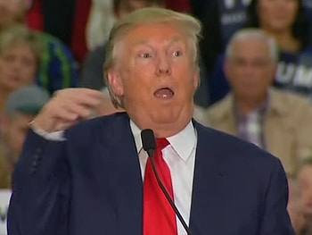 Donald Trump criticised for mocking journalist's disability during campaign speech | The Independent HD wallpaper