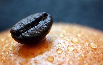 Drops, Coffee, Macro, Surface, Grain, Corn HD wallpaper