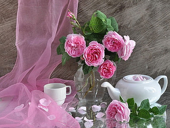 Still life, pink, vail, tea, roses, nature, flowers HD wallpaper
