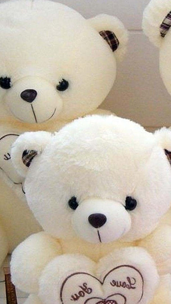 Cute Teddy, Family HD phone wallpaper