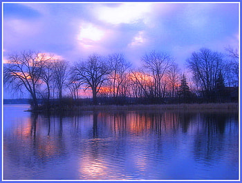Twilight blue, blue, coral, clouds, trees, lake, reflections HD wallpaper