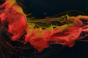 Macro, Paint, Liquid, Ink, Clot HD wallpaper