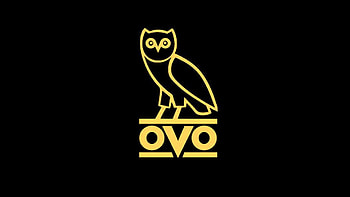Get high quality clothing brand with owl logo drake HD wallpaper