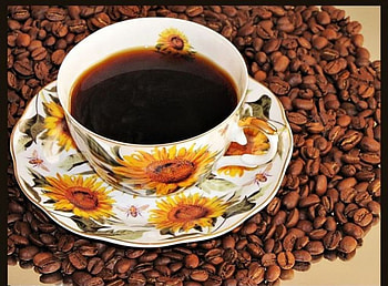 Coffee, soucer, natural, black, graphy, floral, cup, sunflower, abstract, flavored, f, beans, porcelain HD wallpaper