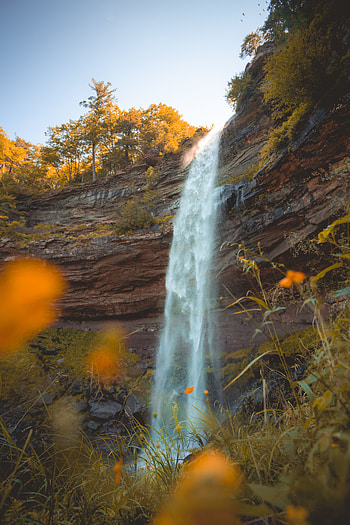 Nature, Flowers, Grass, Rock, Waterfall, Break, Precipice HD phone wallpaper