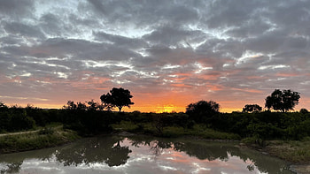 Sunset in Sabi Sands Game Reserve, South Africa, landscape, colors, clouds, trees, sky, water, lake, reflections HD wallpaper