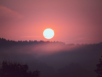 Nature, Trees, Sunset, Sun, Pink, Spruce, Fir HD wallpaper