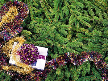Holidays, New Year, Fir-Trees, Christmas, Xmas HD wallpaper