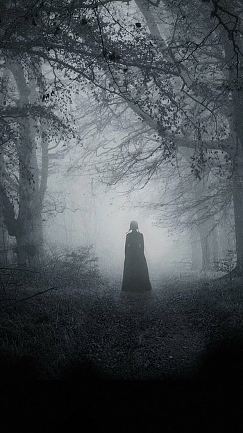 Horror Gothic Forest, Dark Place, gothic forest HD phone wallpaper