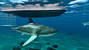Arma 3 addon, Great White Sharks HD wallpaper